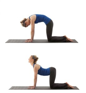 Top 10+ how to improve posture 6 Exercises To Improve Posture | AFA Blog - Australian Fitness Academy