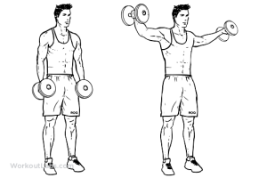 Dumbbell lateral sales raise teaching points