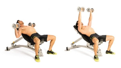 Incline Dumbbell Bench Press - Chest Exercise for Gym 