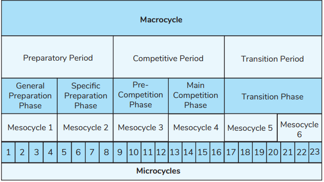 Periodisation in Sport