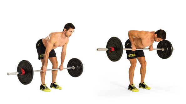 8 Row Variations To Build A Strong Back | AFA Blog