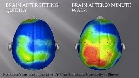 Exercise Effect on Mental Health